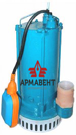 гном2