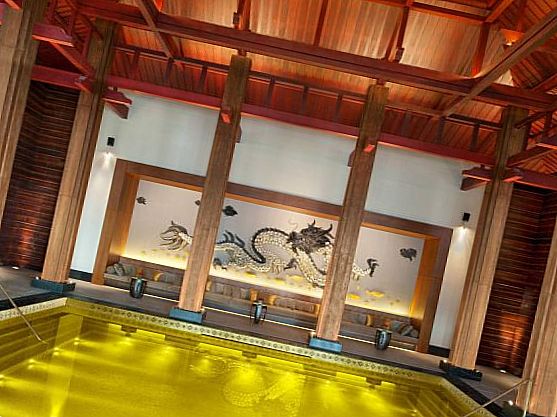 Бассейн St. Regis Gold Energy Pool