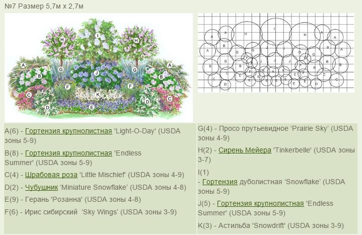 Цветник под яблоней из многолетников схемы