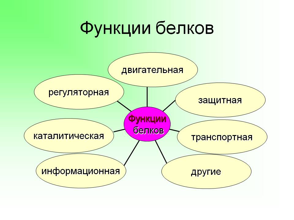 Функции белков