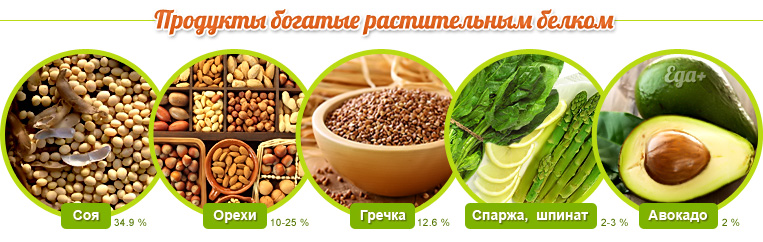 Продукты с содержанием растительного белка