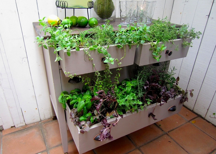 Dresser Garden Layout