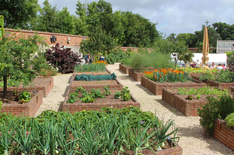 Multiple raised beds