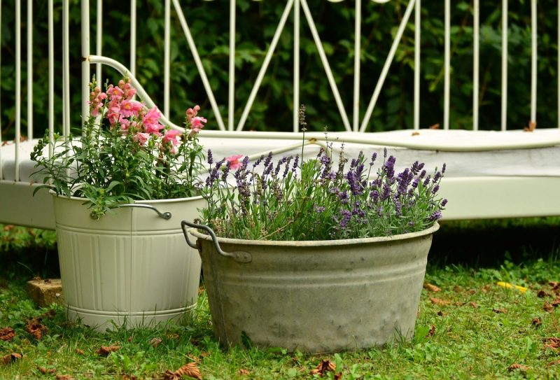 Barrel garden