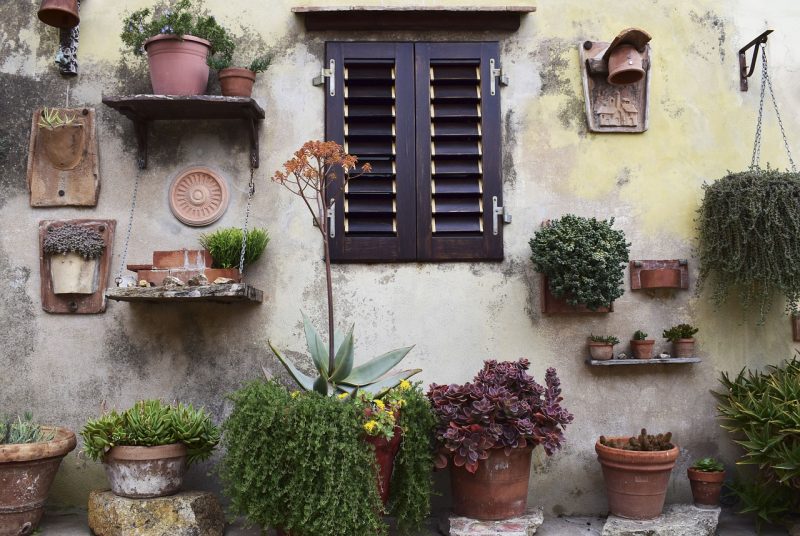 Wall Garden