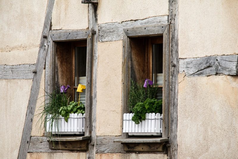 Window box garden layout