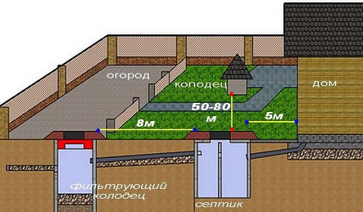 На изображении показана примерная схема расположения септика на участке