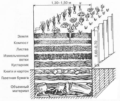 Схема устройства грядки на компостной яме.