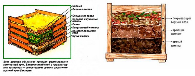 kompostnaya-yama-svoimi-rukami-3