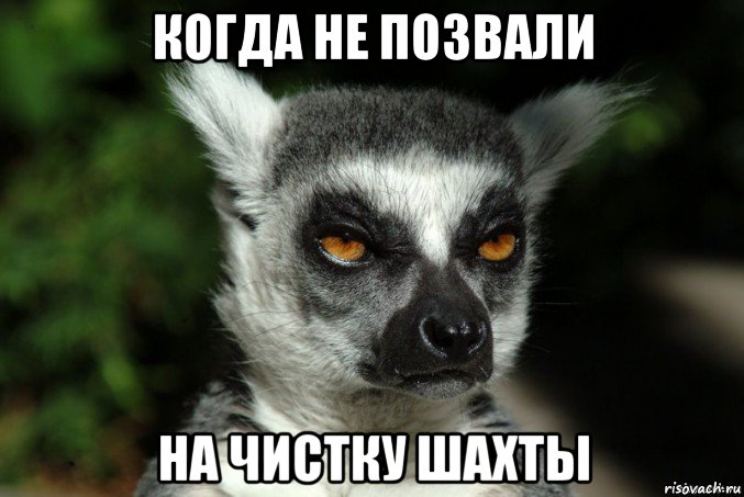 когда не позвали на чистку шахты, Мем Я збагоен
