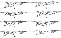 Техника плавания кроль