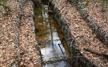 Слив дождевой воды в дренажную канаву 