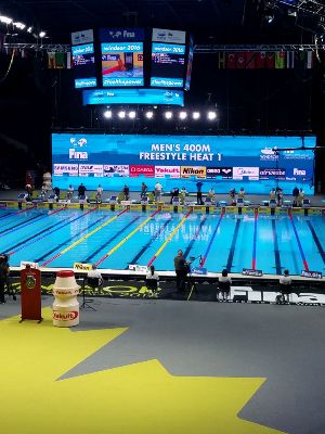 Чемпионат мира по плаванию на короткой воде 2016, Виндзор-2016, Канада, A.W. Sports Agency