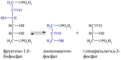 Reaction-F16BP-DOAP-GA3P.png