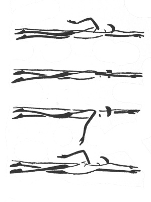 техника плавания кролем 