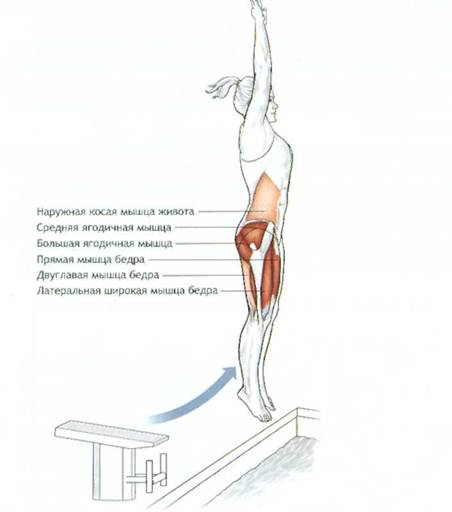 Как правильно прыгать в воду