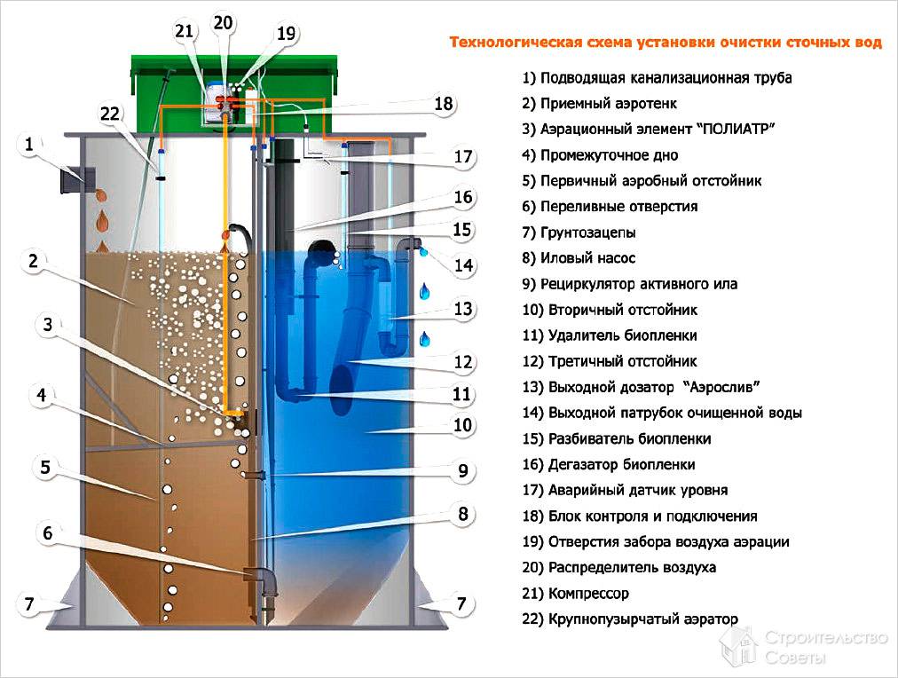 Биосептики