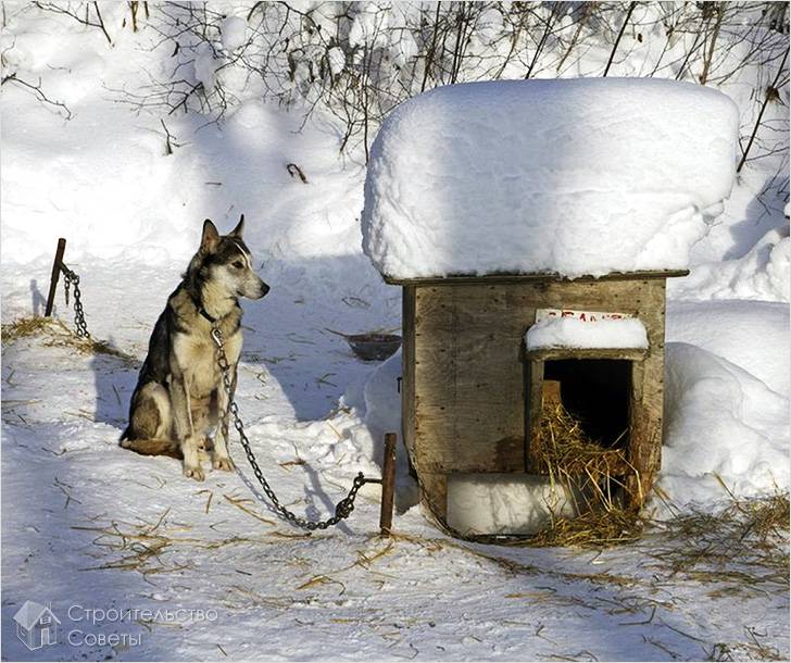 Утепляем полы и стены