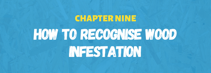 How to recognise wood infestation