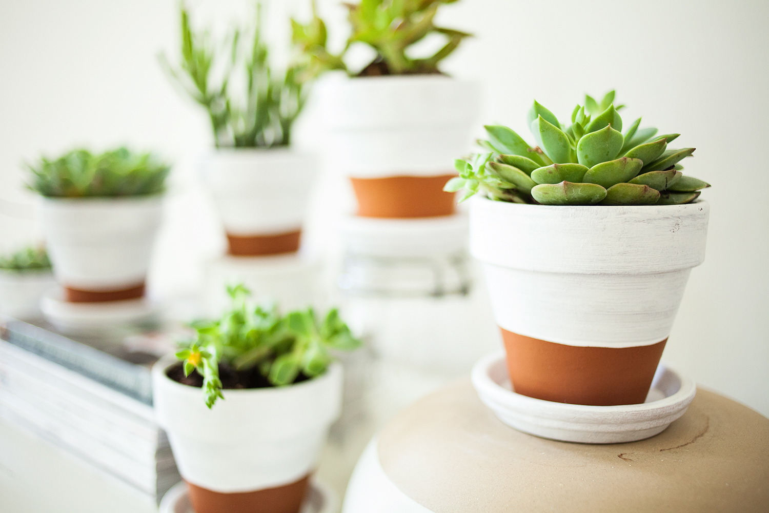 Flower pots White Dipped