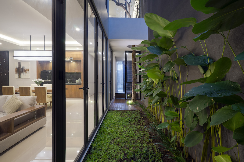The living area has access to the small interior garden space with fresh greenery