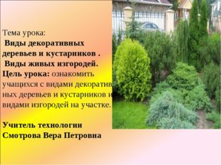 Тема урока: Виды декоративных деревьев и кустарников . Виды живых изгородей.