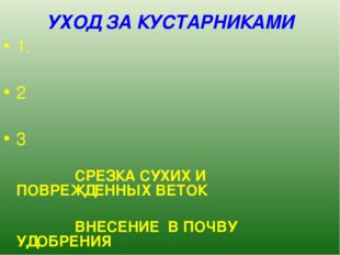 УХОД ЗА КУСТАРНИКАМИ 1. 2 3 СРЕЗКА СУХИХ И ПОВРЕЖДЕННЫХ ВЕТОК ВНЕСЕНИЕ В ПОЧВ