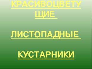 КРАСИВОЦВЕТУЩИЕ ЛИСТОПАДНЫЕ КУСТАРНИКИ 