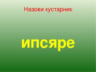 Назови кустарник ипсяре 