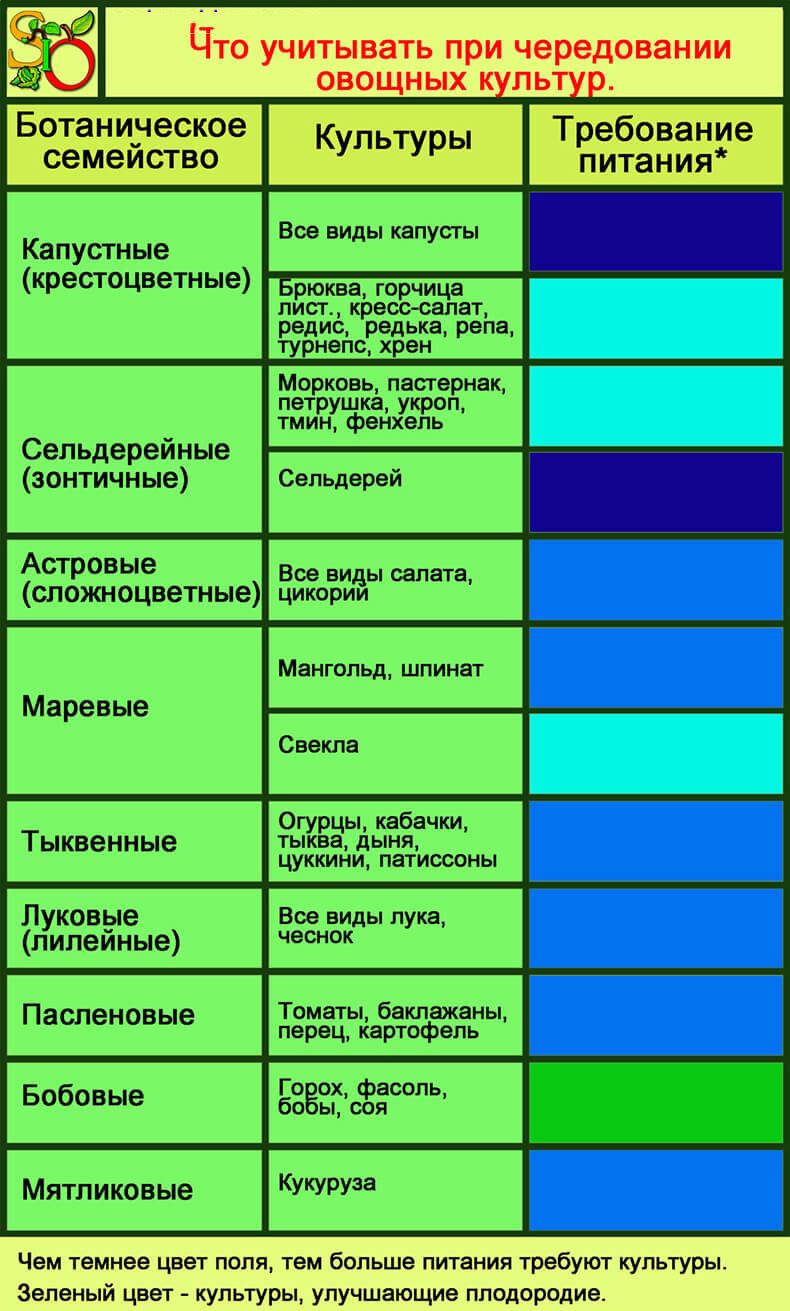 Правильное чередование выращивания растений на Ваших грядках