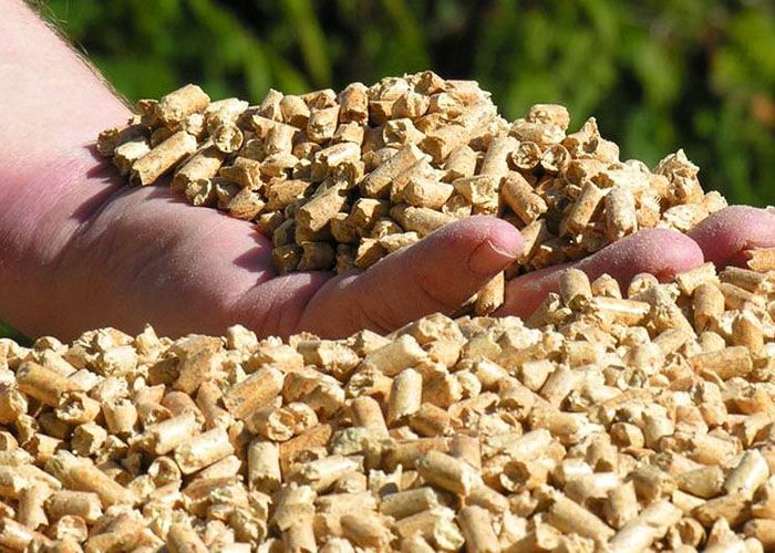 Топливные гранулы – пеллеты, изготавливаются из отходов различных пород дерева