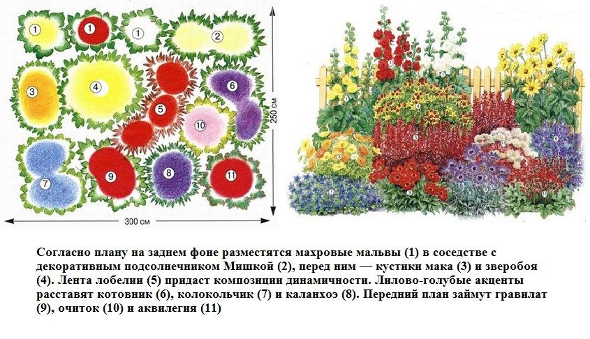 Цветник у забора из многолетников схема для чайников