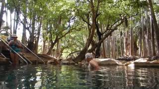 Warm pool in Mataranka / Тёплый бассейн в Матаранке