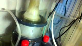 my boyu skimmer 750liter