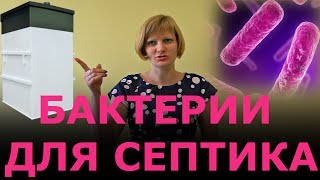 Бактерии для септика. Аэробные и анаэробные бактерии.