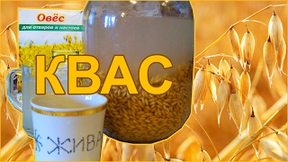 Как самому приготовить квас из овса Как самому приготовить квас из овса