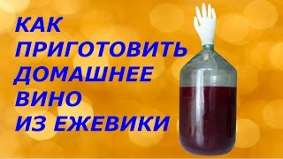 Как самому приготовить вино из ежевики Как самому приготовить вино из ежевики