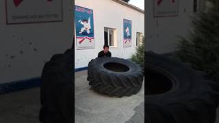 Случайно увидели большую покрышку и вот так сделали) 2 августа 2017 г.