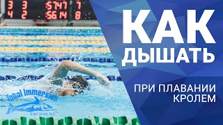 Как дышать при плавании кролем . Академия плавания 