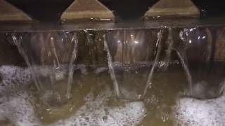 Новое видео электрофлотатора на действующем мясокомбинате