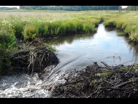 Один день из жизни экскаваторщика.