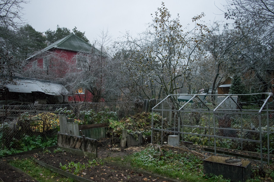 DSC_4416