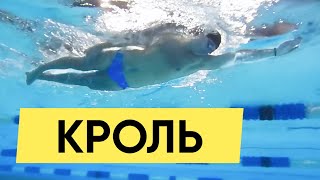 КАК ПЛАВАТЬ КРОЛЕМ? ТЕХНИКА НА ВСЮ ЖИЗНЬ @Swimmate.ru