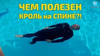 Плавание Кролем на Спине ! Как Появился Этот Стиль и Почему Любителям Плавания Стоит его Освоить?!