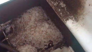 Авария в септике ЭкоРос, Топас, Астра и других подобных септиках
