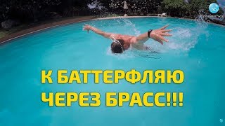 Баттерфляй стиль видео