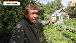 В Твери стоки из канализации затопили приусадебный участок и подвал дома
