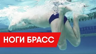 КАК ДЕЛАТЬ ПРАВИЛЬНЫЙ УДАР НОГАМИ БРАССОМ? ЭТО МОЖЕТ КАЖДЫЙ @Swimmate.ru