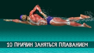 ПЛАВАНИЕ. 10 Причин Начать!