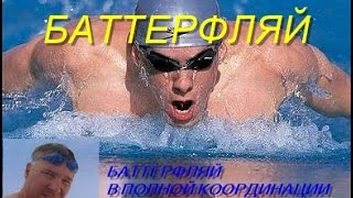 Баттерфляй в полной координации| КАК НАУЧИТЬСЯ ПРАВИЛЬНО ПЛАВАТЬ| HOW TO LEARN TO SWIM